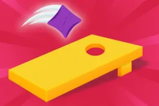 Corn Hole 3D