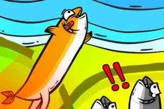 Fish Jam