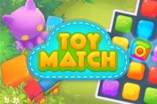 Toy Match