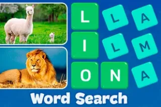 Word Search - Fun Puzzle Games