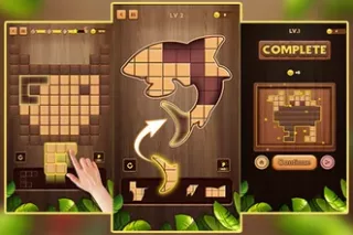 WoodPuz: Block Puzzle